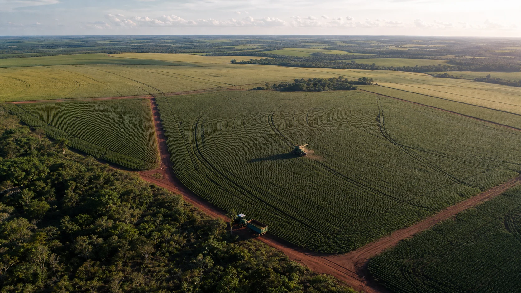 Vista aérea de lavouras de soja e estradas de terra em Mato Grosso