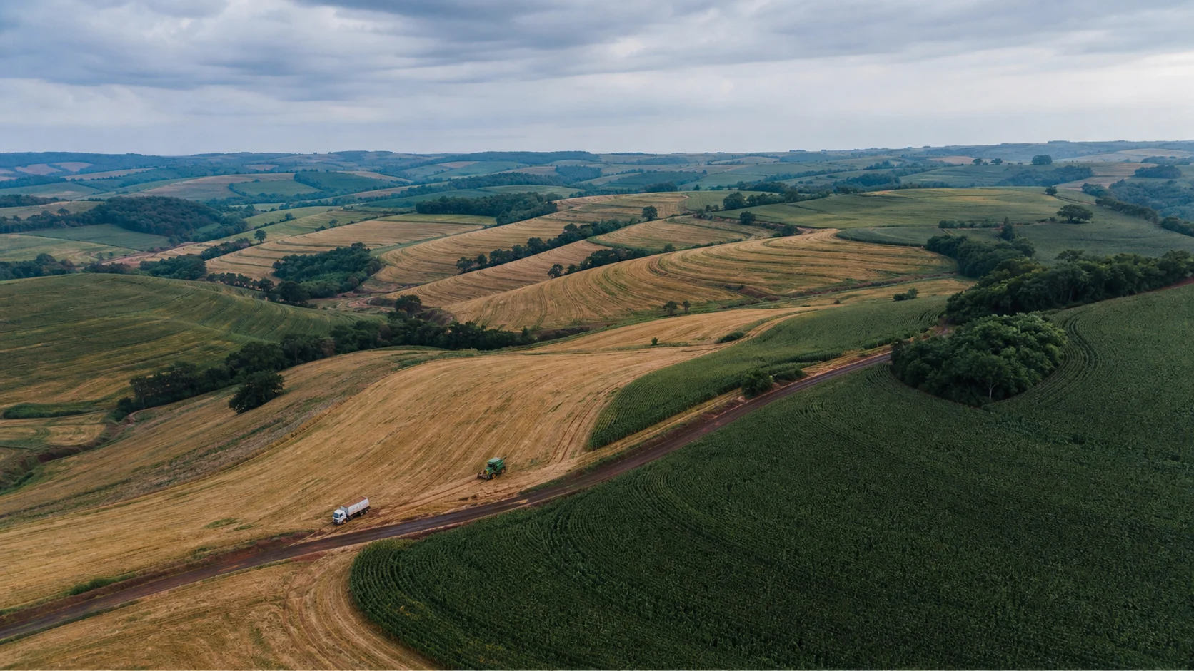 Vista aérea de campos ondulados de milho e trigo no Paraná